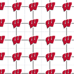 University of Wisconsin Badgers Short Sleeve Woven Shirts